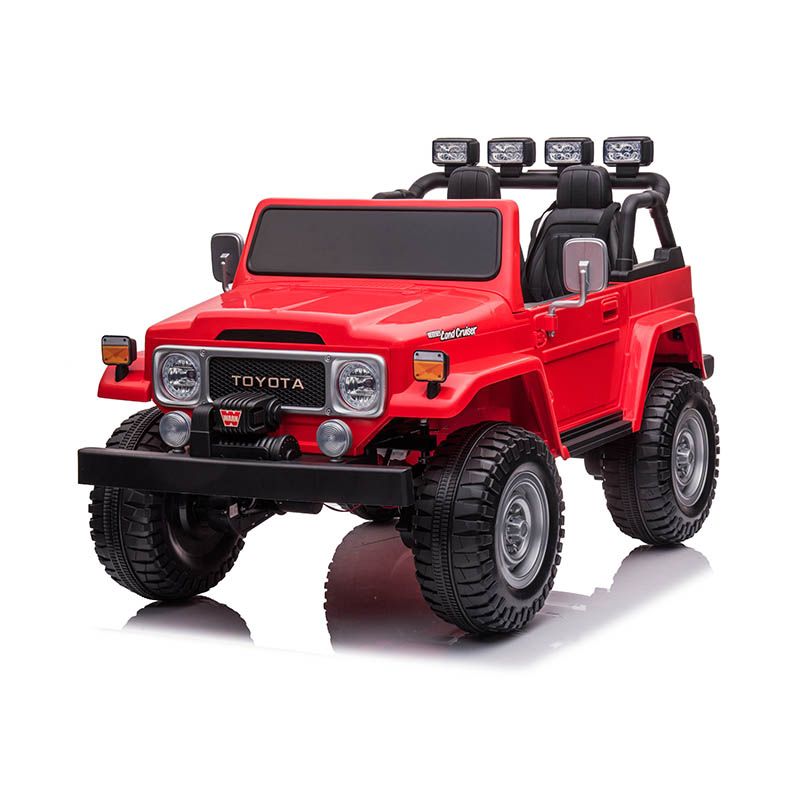 キッズ電気自動車ライセンス キッズ電気自動車ライセンス